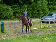 CH290522-32 - Charlie Hills Stable Visit